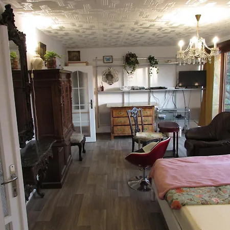 Praguecityapartment Πράγα
